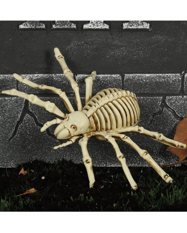 Spinnen Skelett 24cm für Halloween