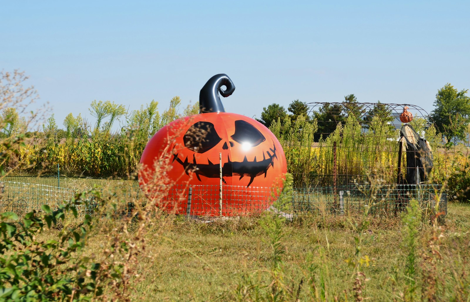 Giant inflatable jack-o'-lantern in a field
