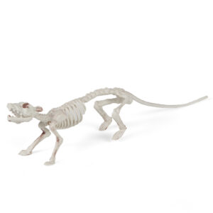Skelett-Ratte Halloween-Deko weiss 16x23cm
