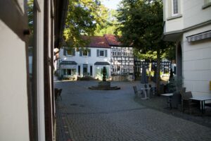 Fasnet in Offenburg – zwischen Tradition, Witz und Lebensfreude 🎭