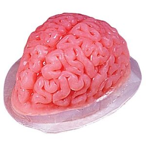 Puddingform Gehirn Halloween Party-Gadget transparent 20x15x7