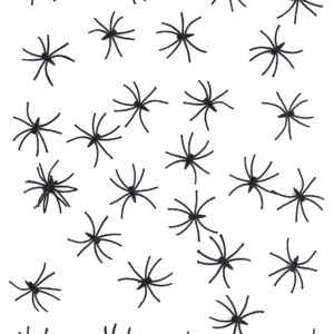 Spinnen Halloween-Deko 24 Stück schwarz 5x5cm