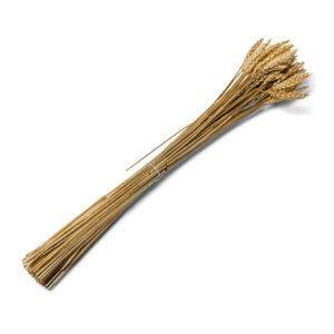 Weizen-Ähren Partydeko 25 Stück braun 60cm