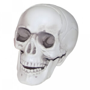 Mini Totenkopf mit beweglichem Kiefer