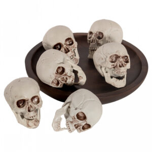Totenköpfe mit beweglichem Kiefer 7cm 6 St.