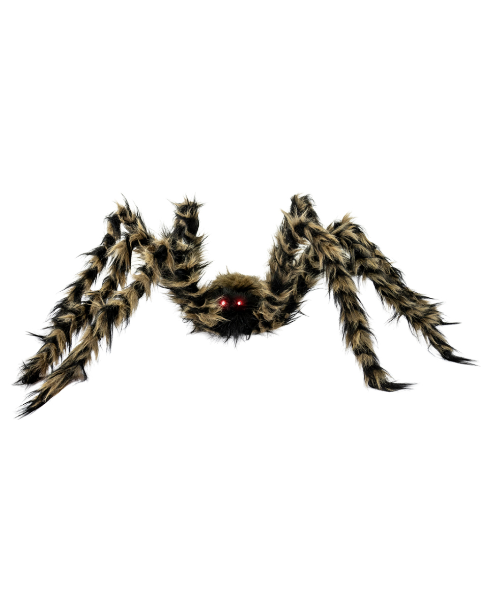 Gestreifte Tigerspinne mit leuchtenden Augen 122cm