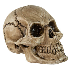 Antiker Morbid Relic Totenkopf 17cm