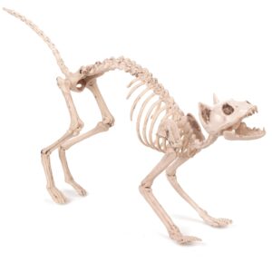 Knochenkatze Halloween-Dekotier weiss 60x12x25cm