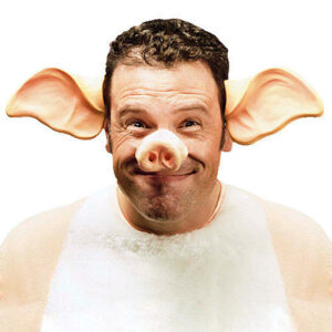 Schweine-Ohren Haarreif Kostümzubehör rosa