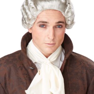 Barock Herren-Perücke Edelmann grau