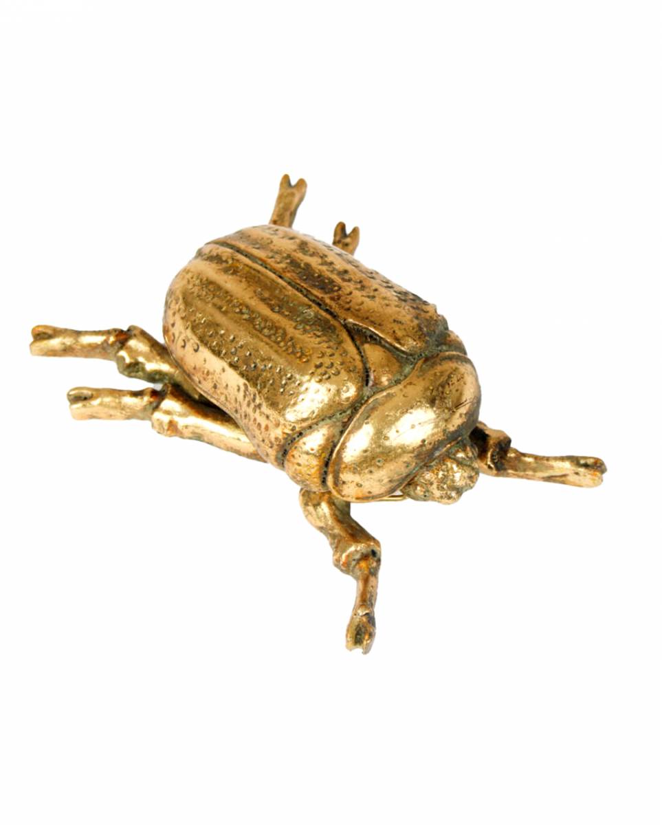 Goldfarbener Skarabäus Käfer Wandkunst 15cm