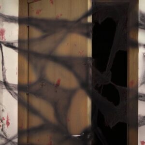 Dekoration Halloween Spinnennetz 20g schwarz