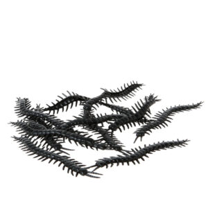 Tausendfüßer Halloween-Deko 12 Stück schwarz 13