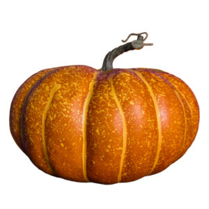 Oranger Gesprenkelter Deko Kürbis 26x17cm