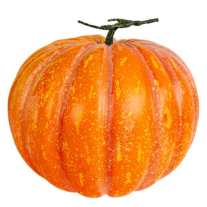 Großer Herbstkürbis mit Strunk 32x26cm