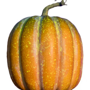 Realistischer Herbstkürbis 23x18cm