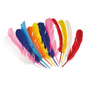 Indianer Federn Party-Deko 12 Stück bunt 30cm